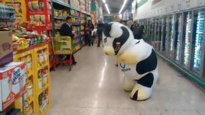 [133/133] U Can't Moo-ve This (MC Hammer vs Dancing Cow In Mexican Market)