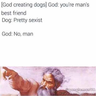 When God creating dogs