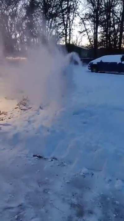 Good boy loves the snow