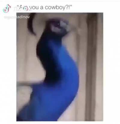 ARE YOU A COWBOY?!