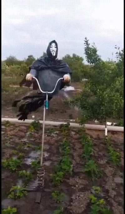 Taking scarecrow to an entire, new level