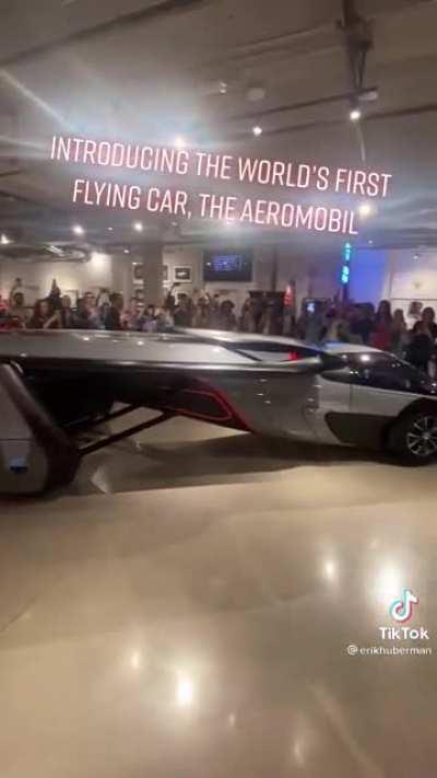 Worlds first flying car