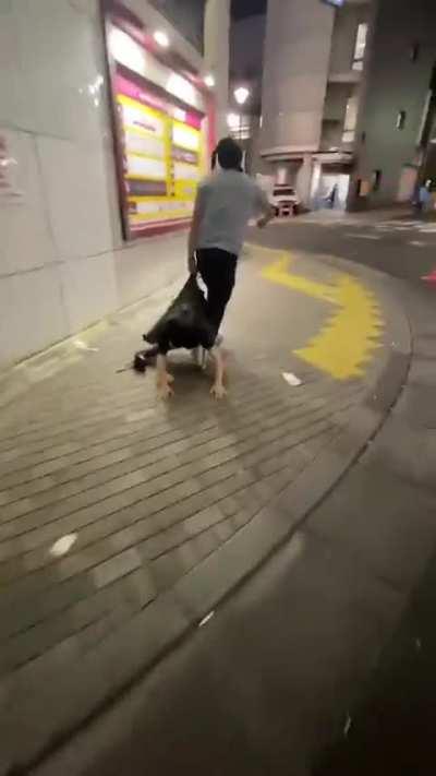 A man got dragged to police station in Kabukichō, Tokyo