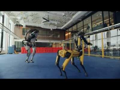 These robots designed by Boston Dynamics dancing to the beat