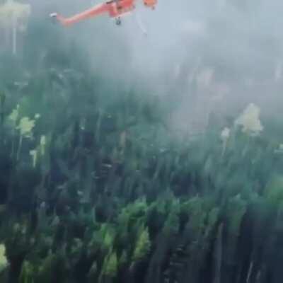 The pilot's accuracy in aerial firefighting