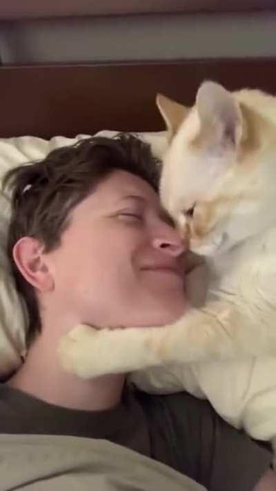 Sweet Cat wants Nose Kisses!!