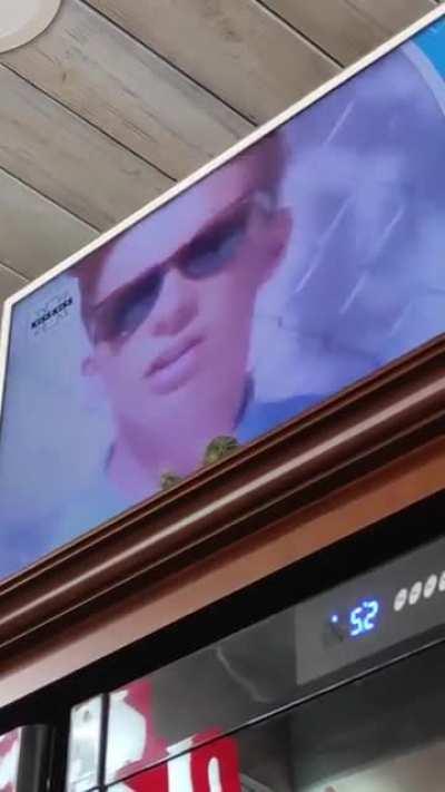 Rickrolled in an Italian restaurant