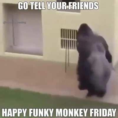 FUNKY MONKEY FRIDAY!!!!🐒🐒