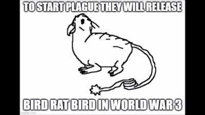 I saw in my nightmare that Americans released bird-rat-bird (idk what is this. Hybrid or entirely new creation) bio-weapon in World War III. As a result everywhere (even in NATO countries) was infested by these guys. Sound to signify the chaos. Also more 