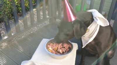 Samwise the best black lab doggo gets a special treat for his 4th birthday