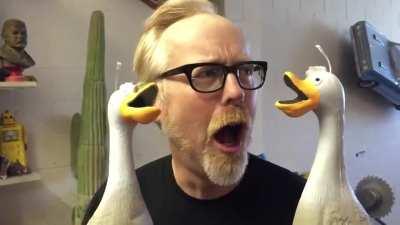 Adam Savage's Ducks