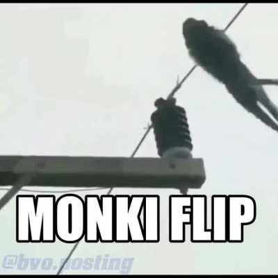 Monki flip