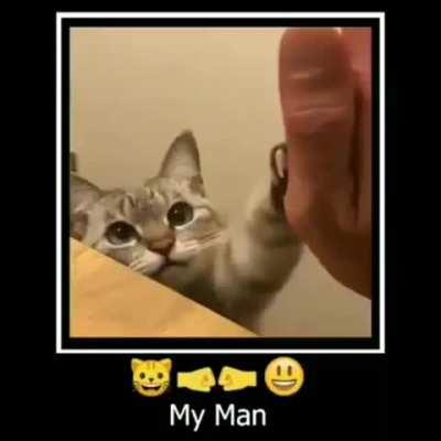 😺🤜🤛😀