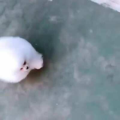 Two little clouds running on the ground