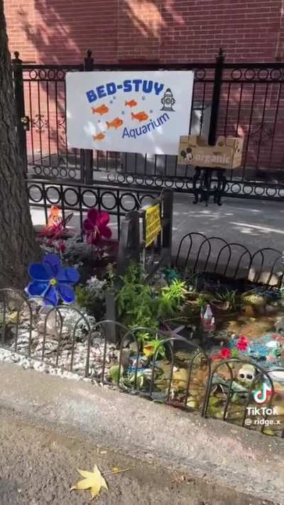 People created an aquarium with real fish around a leaky fire hydrant in New York City