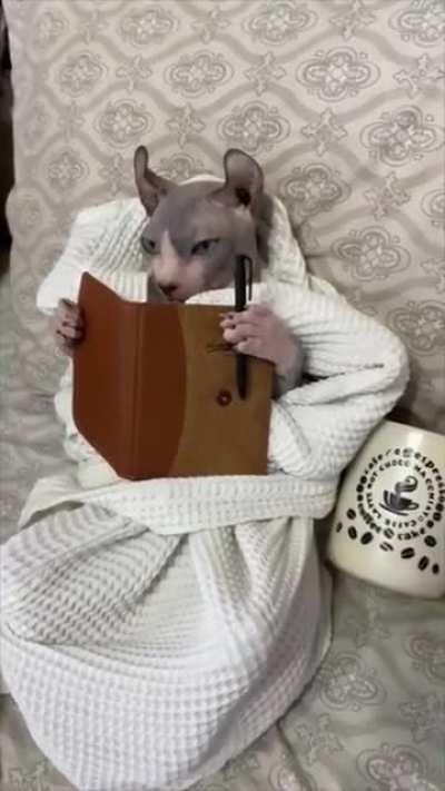 Sphynx cat, working on his diary...