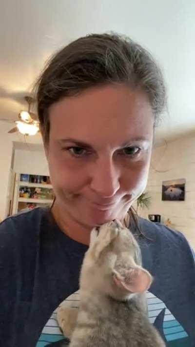 I’m a little insulted that my kitten thinks my chin is a boob.