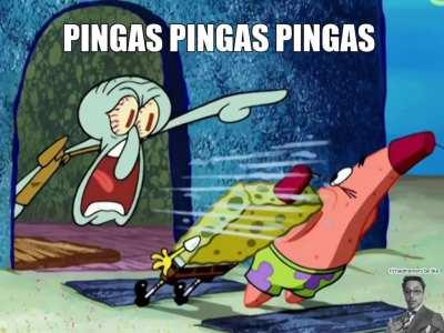 Pingas