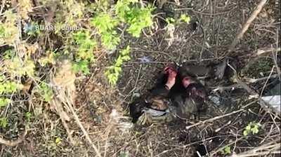 Some drone drops on Russian soldiers and drone films one Russian soldier in bad shape with a noticeable arm injury and other wounds. Date and location unknown