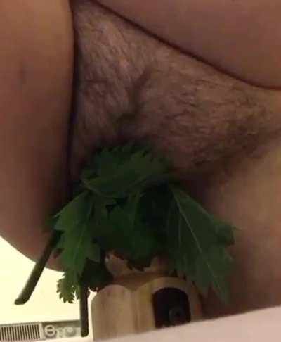 Fuck pig with fat udders and nettles in her cunt