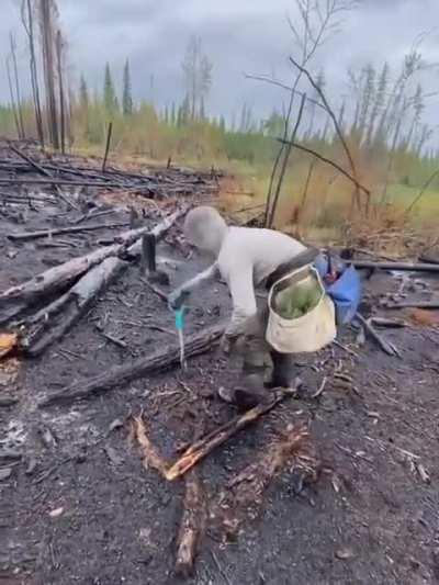 23-year-old tree planter from Quebec set a new world record by planting 23,060 trees in 24 hours. Antoine Moses of Gaspé says he can plant one every 3.75 seconds.