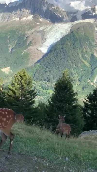 Near Chamonix France.