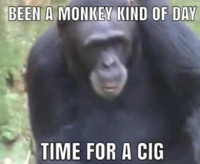 MONKEY NO! YOUR LUNGS!!!