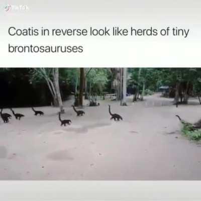 Smol Dinosaurs