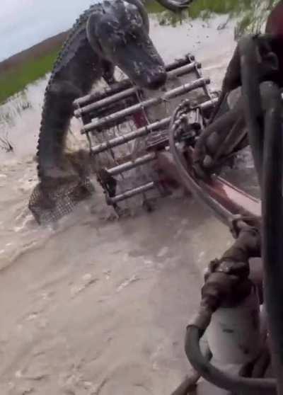 Farming in Louisiana is tough.