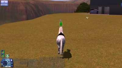 You don't know FREEDOM until you roam around Appaloosa Plains using direct controls with a HORSE