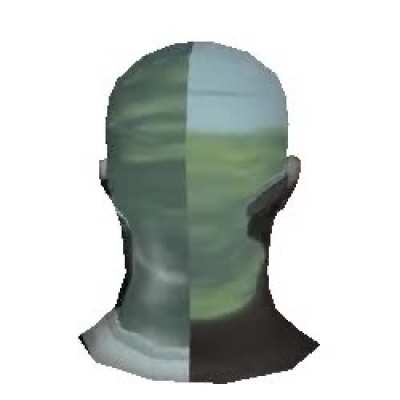 691