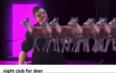 we are so deer