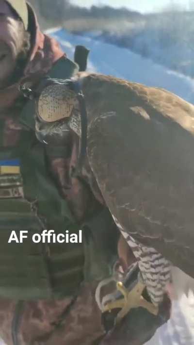 A Ukrainian soldier prepares to practice a little falconry in the snow.