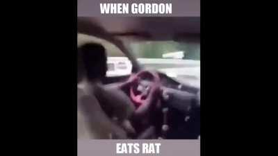 Gordon