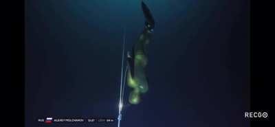 Alexey Molchanov freedives 130 meter deep