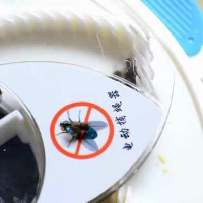 Electronic Fly Trap