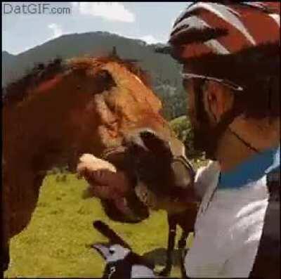 I’ll just pat this horse that has his ears pinned backwards.