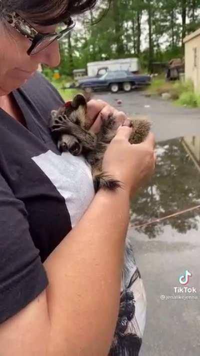 Little baby raccoon rescue// “help me, I’ve seen some things”