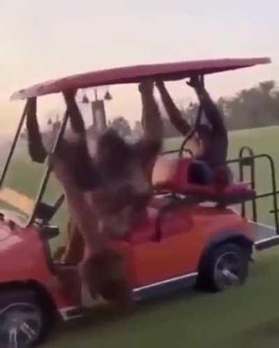 monke ride