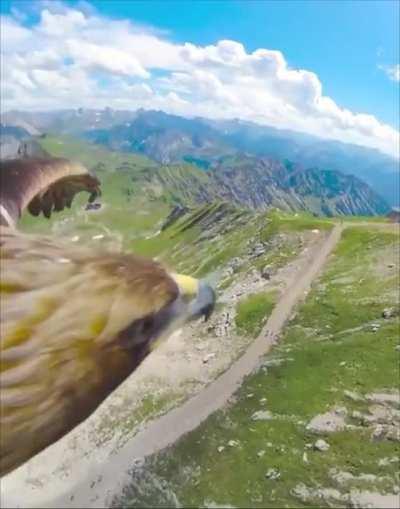 🔥 The beauty of nature from a bird's eye view