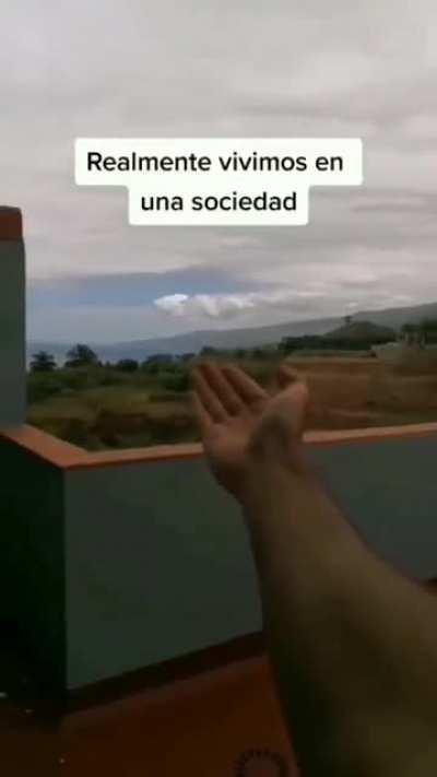 vivimos en una sociedad...