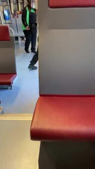 finnish man freaks out in a train.