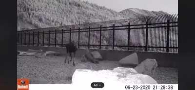 🔥 Utah's first wildlife crossing