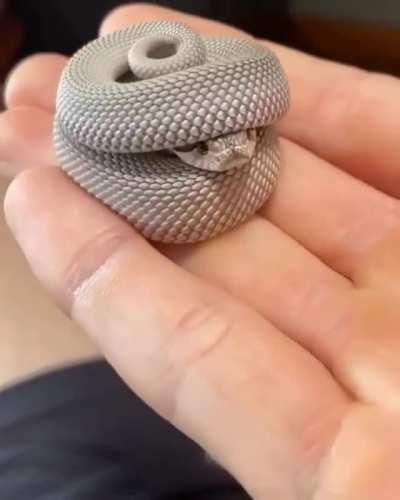 Everything about this little snake that made itself a shelter out of itself.