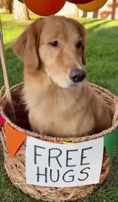 Free Hugs