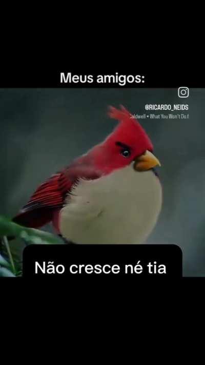 E tá errado?