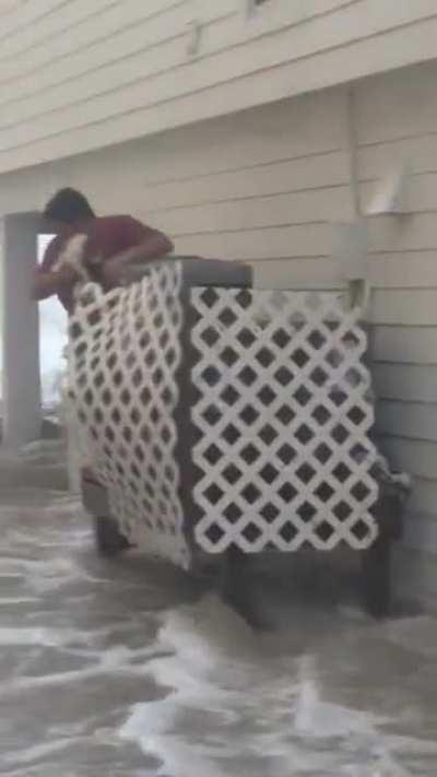 A Good Samaritan risked his life to save a cat that was stuck, perched on an air conditioner during Hurricane Ian.