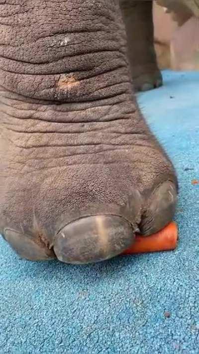 Mei Mei crushing her carrots before eating them