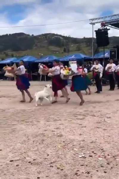 Let Me Show You The Dance Of My People