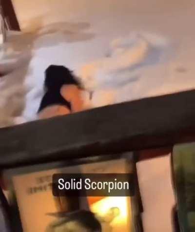 Entering year of the scorpion